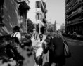 /album/galleria-fotografica/img-8689-jpg/
